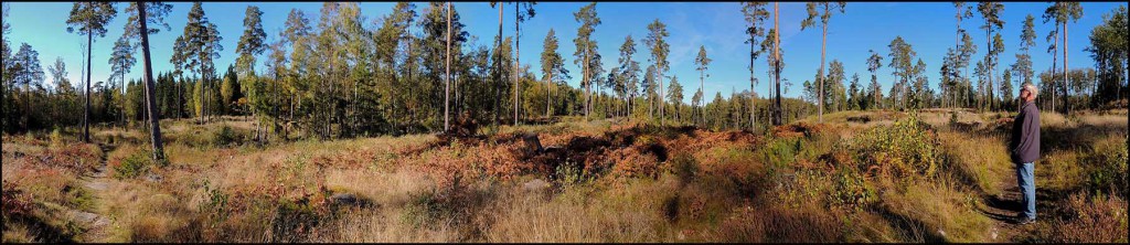 Polackstorp_panorama_150930