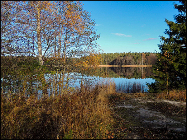 vandring_tyresta_151028_003