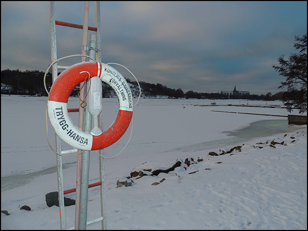 vandring_djurgården_160120_005