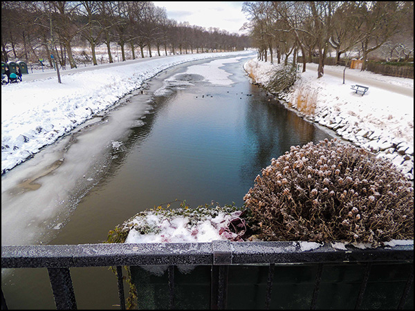 vandring_djurgården_160120_015