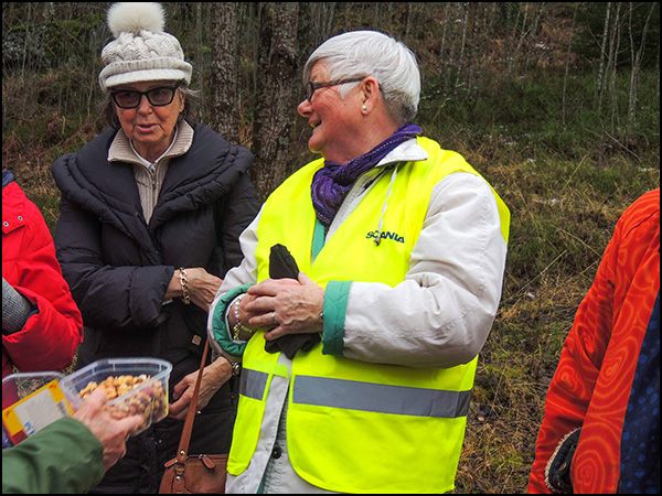 vandring_södertälje_160127_015