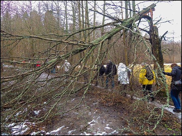 vandring_södertälje_160127_025