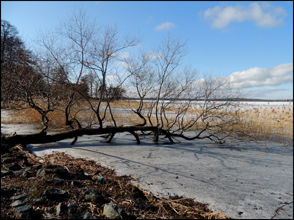 vandring_görveln_160309_007