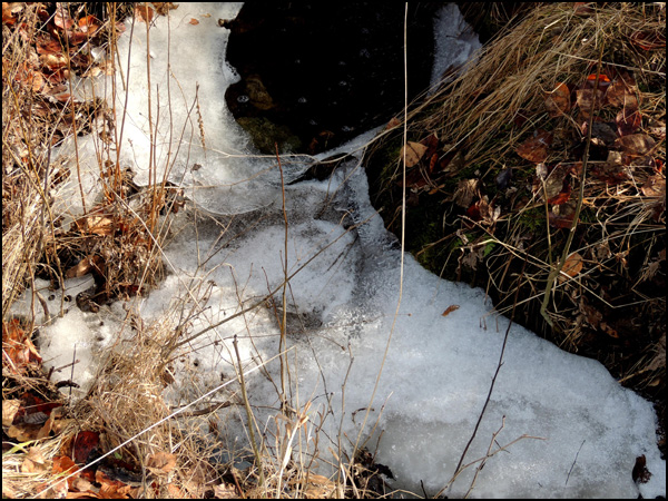 vandring_görveln_160309_016