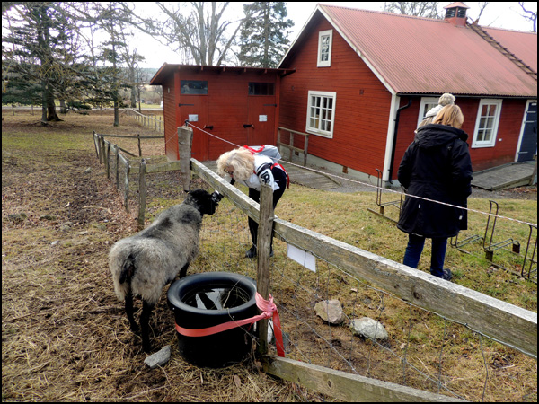 vandring_görveln_160309_024