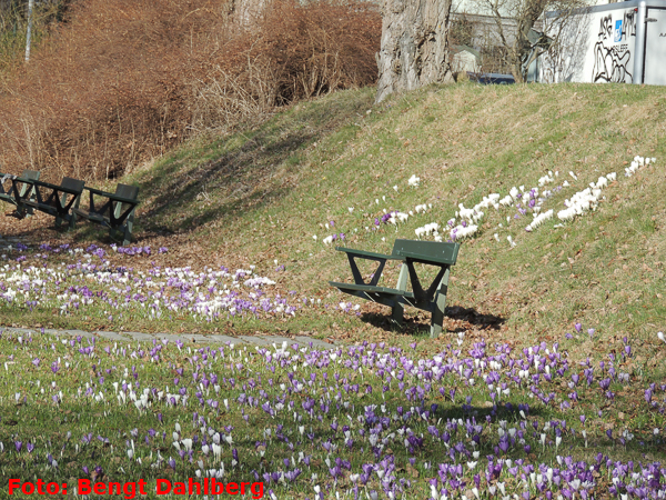 bd_vandring_kungsholmen_160330_005