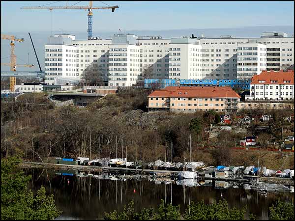 vandring_årstaviken_160413_005