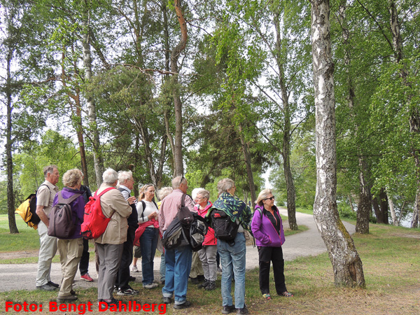 bd_vandring_liljeholmen_160525_004