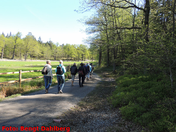 bd_vandring_nyckelviken_160511_002