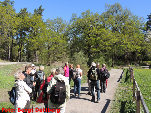 bd_vandring_nyckelviken_160511_004