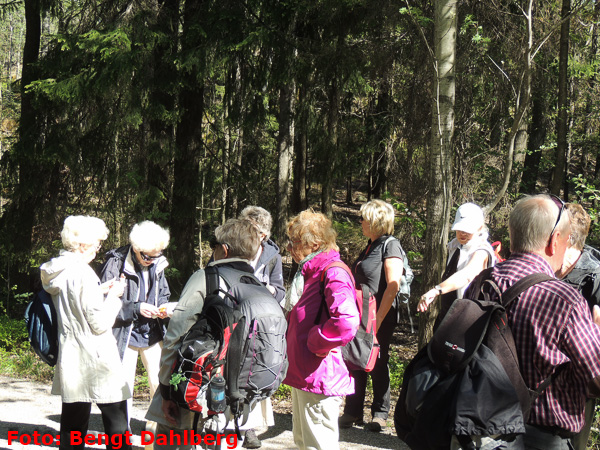 bd_vandring_nyckelviken_160511_006