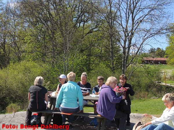 bd_vandring_nyckelviken_160511_013