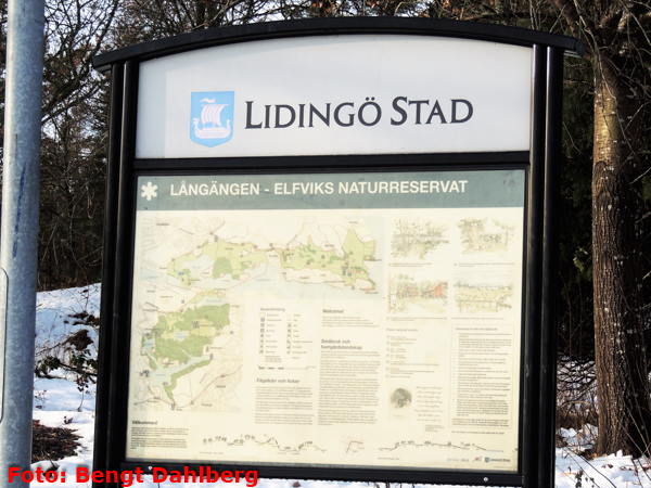 bd_vandring_lidingo_161116_023